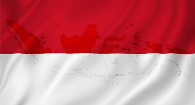 Indonesia - Food & Beverage Products Digital Brief
